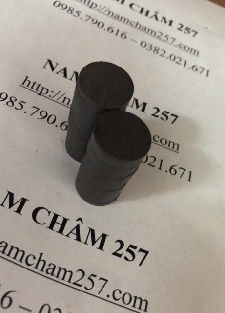 Nam châm Ferrite 20x5mm, nam châm đen tròn, nam châm đen trụ tròn