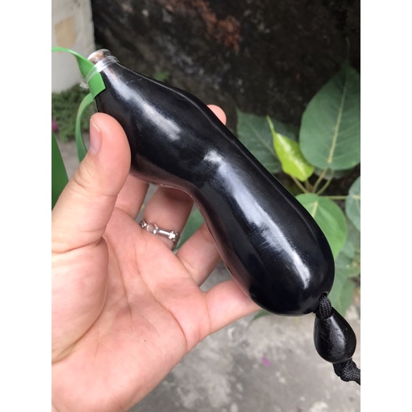 Ná gỗ mun sừng