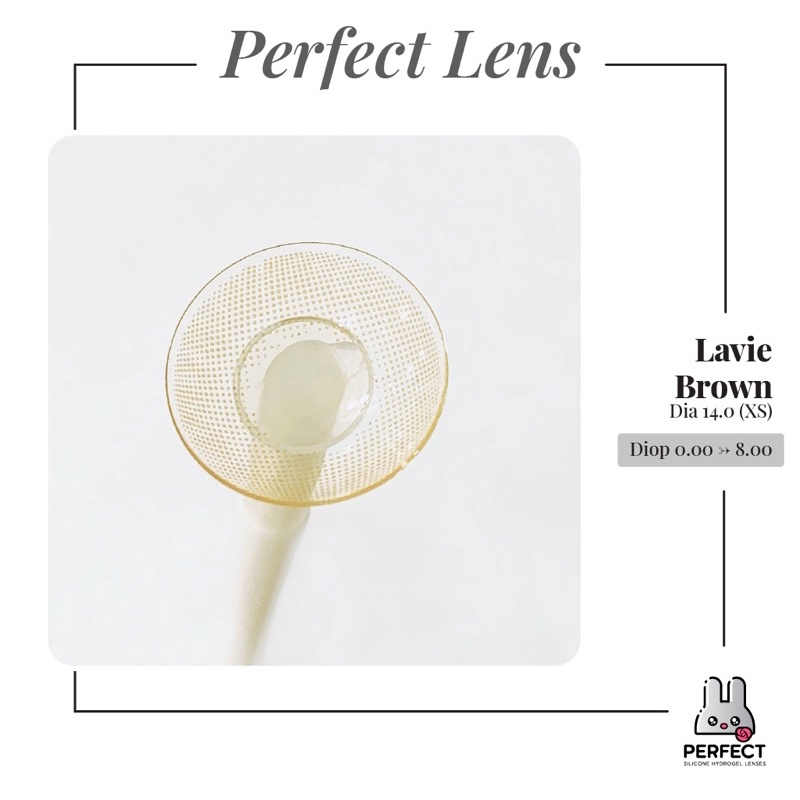 Lens ẢNH MẮT THẬT , Kính Áp Tròng LAVIE BROWN Có Độ Cận và Không Độ , DIA 14.0 XS ,Cho Nhạy Cảm Giá Sale