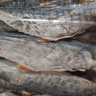 1kg CÁ THU KHÔ DAI NGON