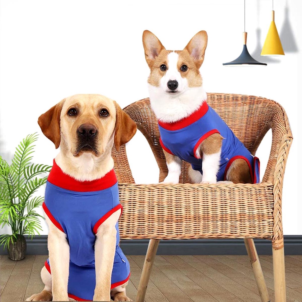 AUGUSTINA Bộ Áo Liền Quần Phẫu Thuật Cho Cún Cưng Sau Khi Phẫu Thuật