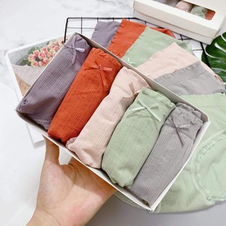 Quần lót vân sọc 5c