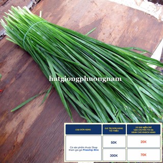 1GR - HẠT GIỐNG CÂY HẸ