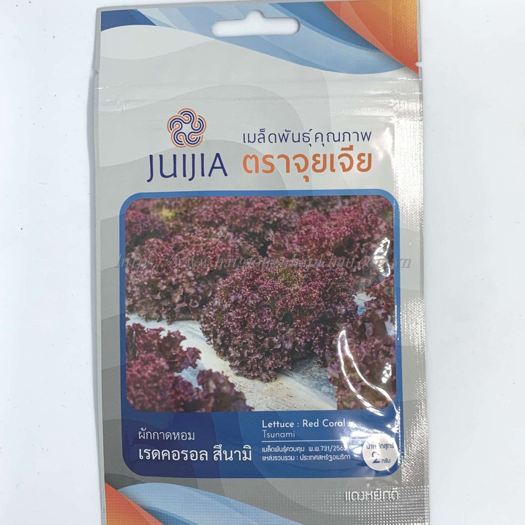 |HÀNG NHẬP KHẨU| Hạt giống xà lách xoăn đỏ red coral Thái Lan. Tặng kèm viên nén ươm hạt và kích rễ