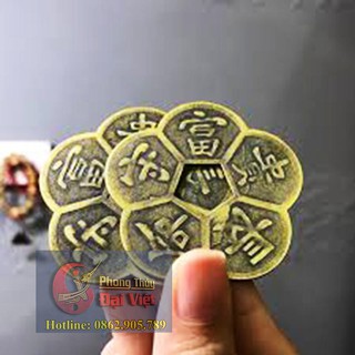 Đồng Tiên Hoa Mai 5cm
