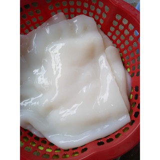 Thạch dừa Tấm to size A4
