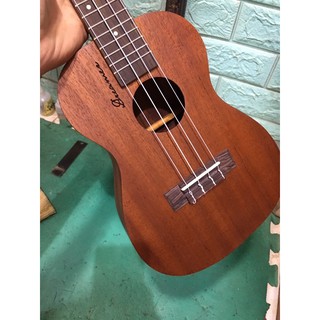 Đàn ukulele gỗ size concert