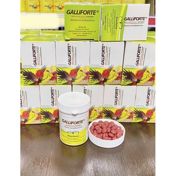 GALLIFORTE 100v .