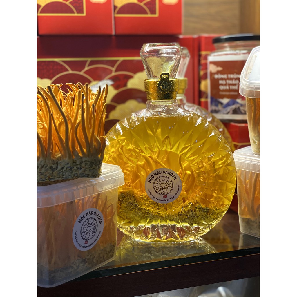 Combo 2 Hộp 25gr Đông trùng hạ thảo sấy thăng hoa MMG Kèm túi giấy | BigBuy360 - bigbuy360.vn