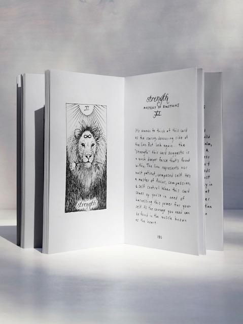 The Wild Unknown Tarot Guidebook