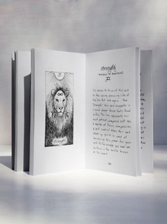 The Wild Unknown Tarot Guidebook