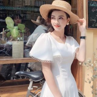 Đầm thiết kế chốt live 250k