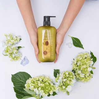 Bộ sản phẩm dầu gội - xả HACHI dành cho tóc dầu Greentea - Purifying