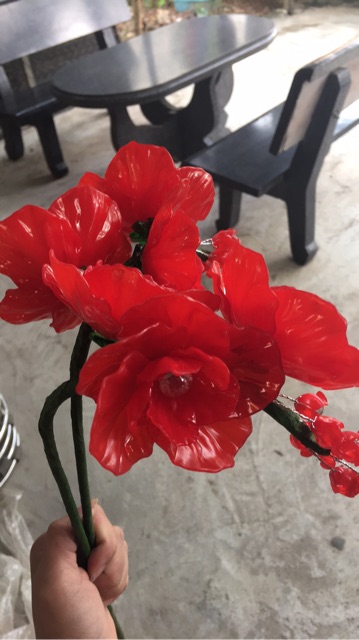 Combo nglieu làm hoa lan 19 cành