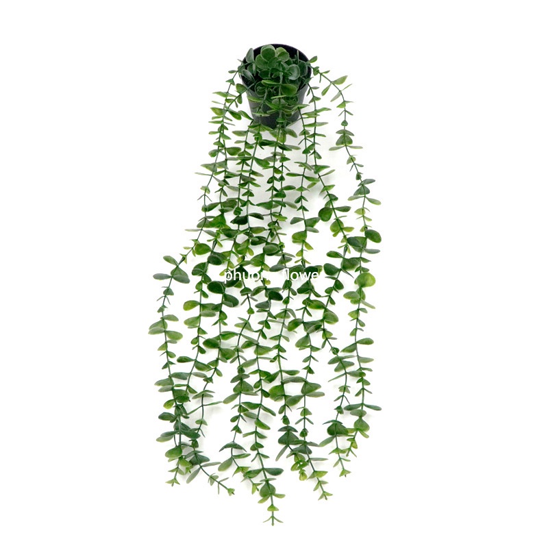 Cây rủ lá nhựa giả kèm chậu mô phỏng cúc tần cây cỏ vảy ốc lá cây xanh dây leo decor trang trí rất đẹp giống thật 99%