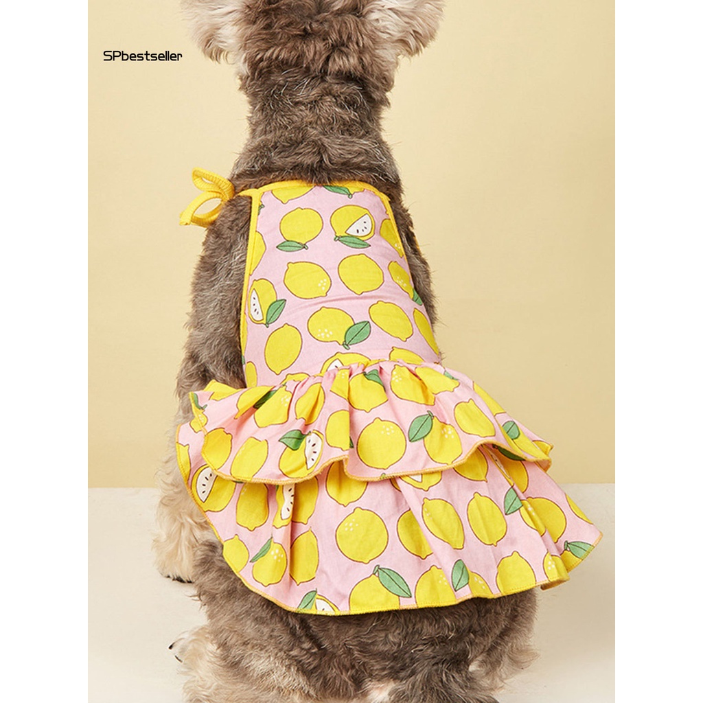 Đầm Mùa Hè Cho Thú Cưng