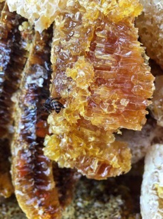 Mật Ong Rừng Chuẩn Xịn