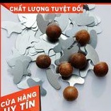 2 cái Đồ Khui - Dụng Cụ Tách Hạt Macca, Hạt Óc Chó Loại Sắt Xi / Inox Cao Cấp