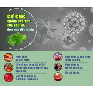 Bột rau má Quảng Thanh 100g