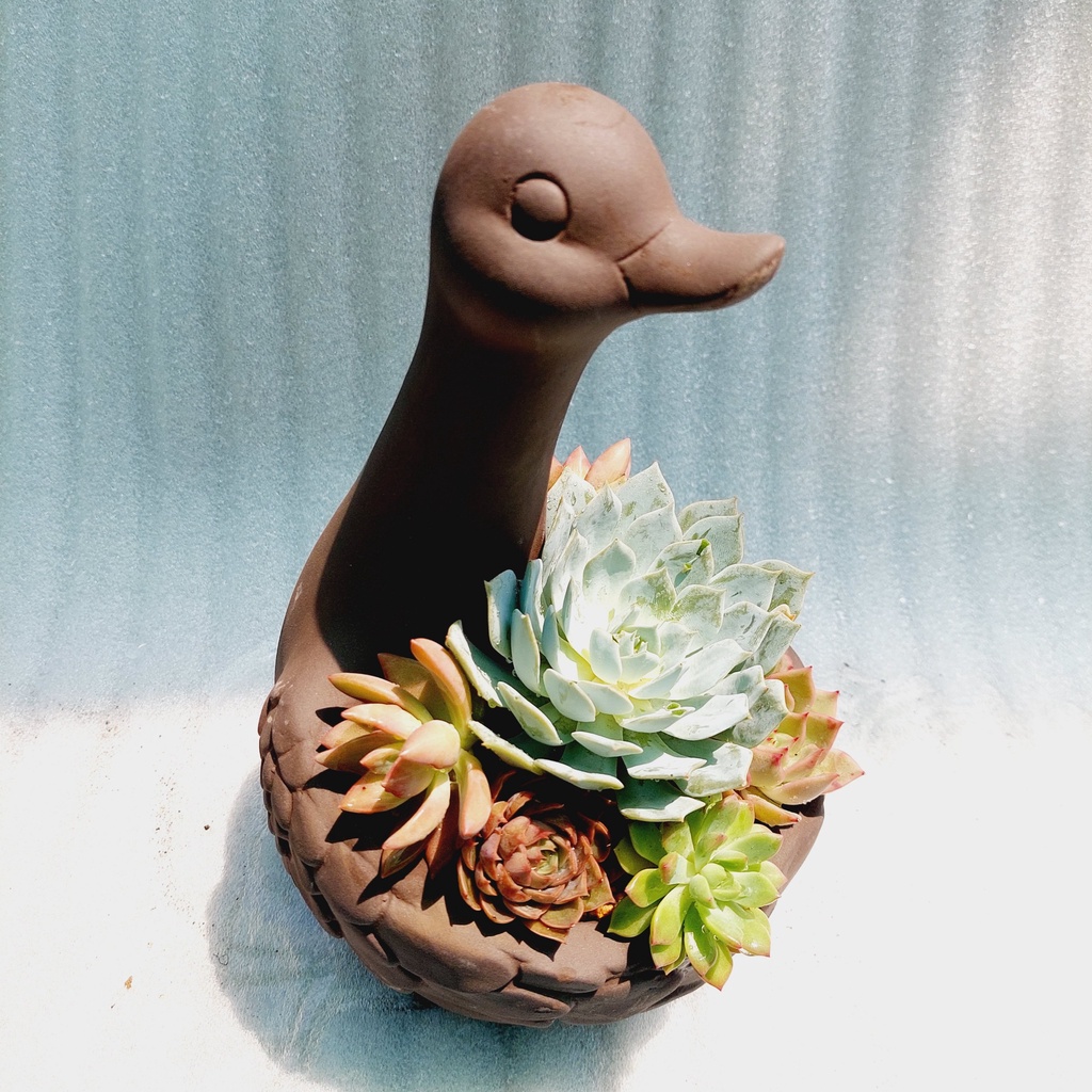 Chậu đất nung, Chậu sen đá - Vịt mẹ ôm con, miệng chậu 13cm, chiều cao 29cm