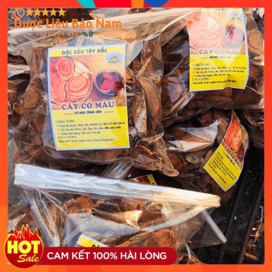 Cây cỏ máu, cỏ béo tăng cân dược liệu quý tại rừng già Sìn Hồ Lai Châu -1kg