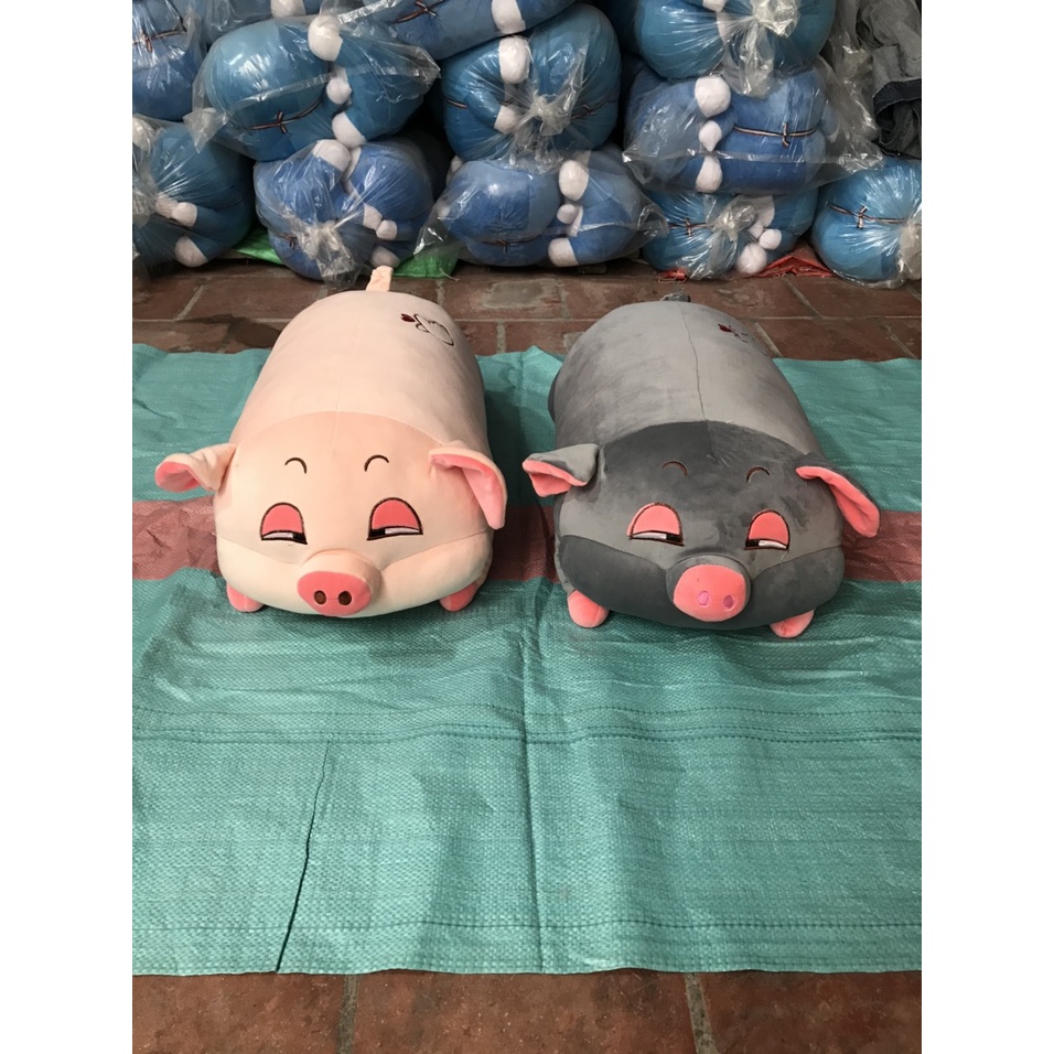 Gấu bông cao cấp Heo bông buồn ngủ đáng yêu 1m hình ảnh thật