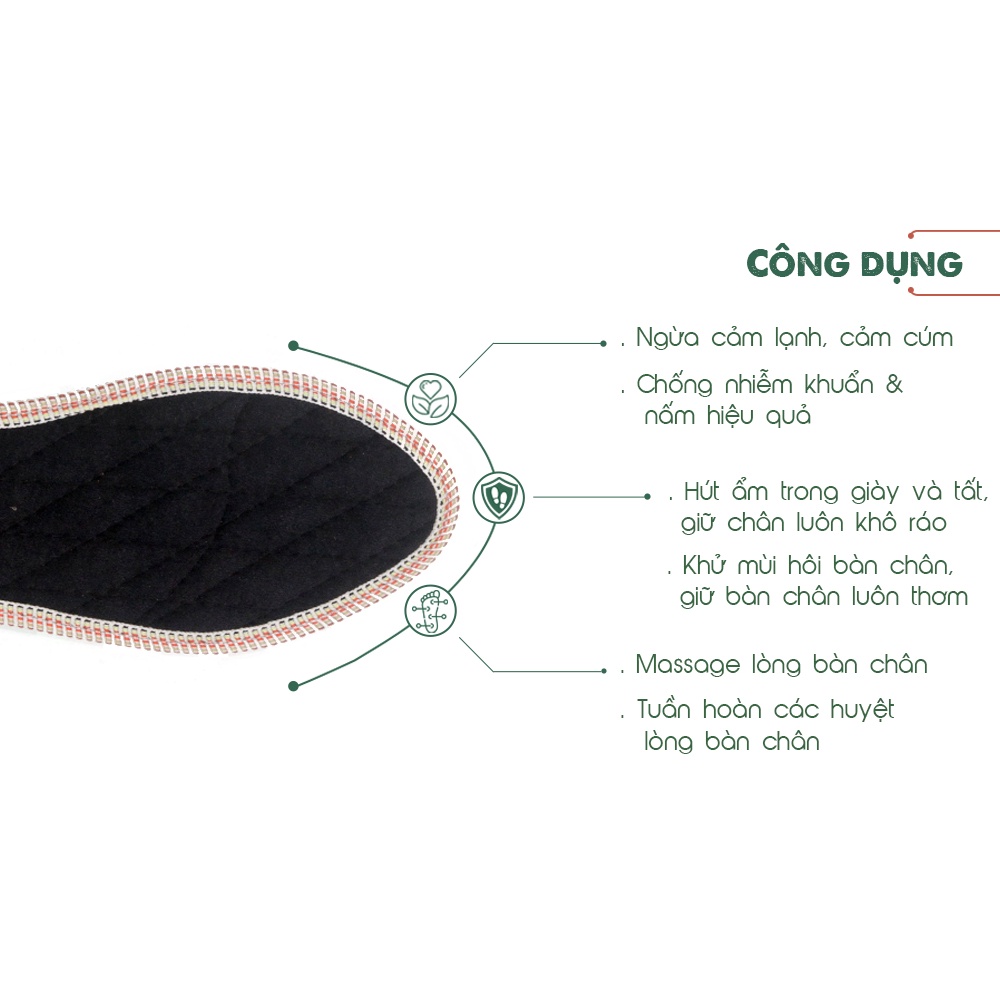 Lót giày quế Trà My - Hương Quế giúp giữ chân khô, ấm và thơm