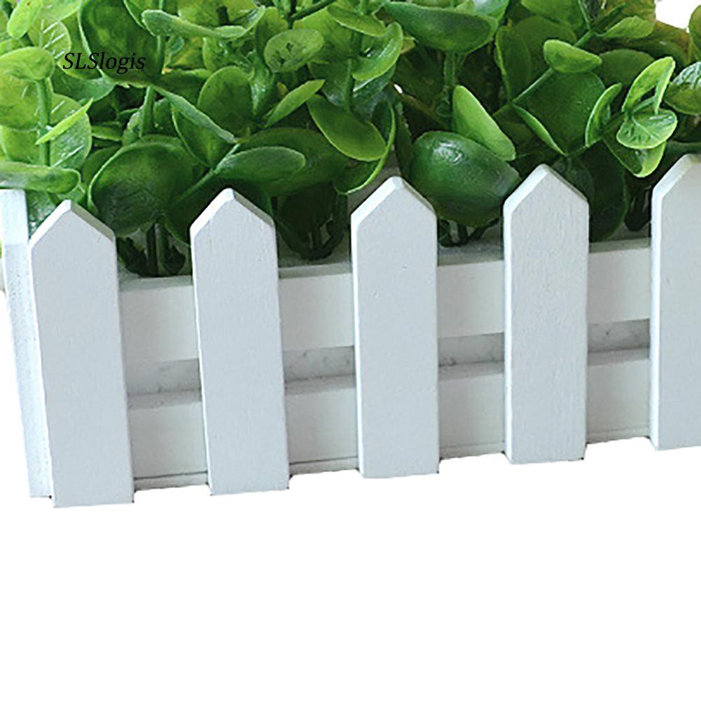 Chậu Cây Bạch Đàn Giả Bằng Nhựa Dùng Trang Trí