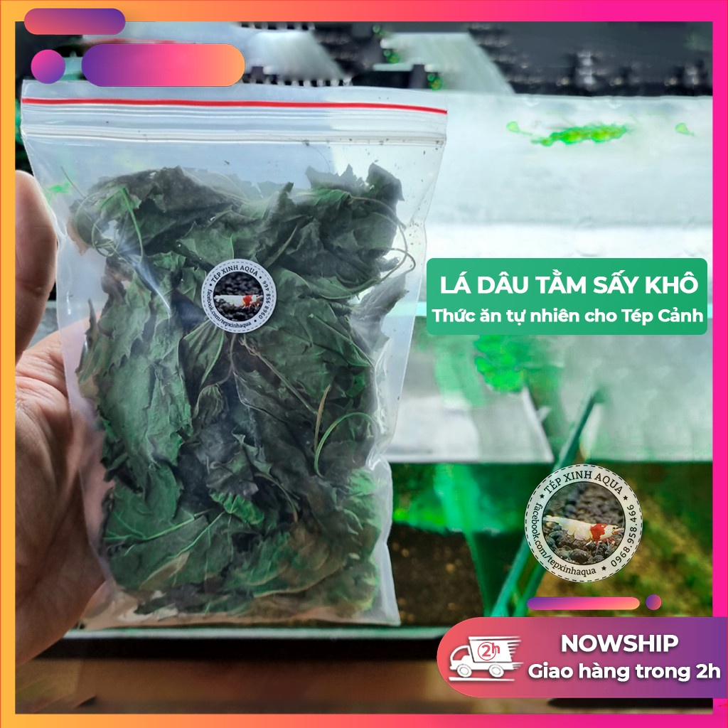 Lá Dâu Tằm Sấy Khô - Thức ăn tự nhiên cho tép Cảnh