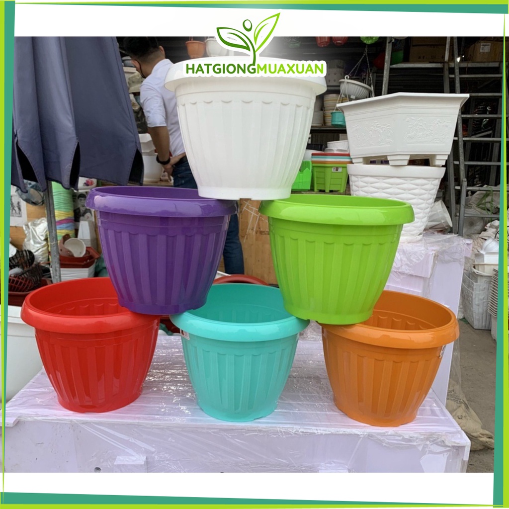 Chậu nhựa QP28 (24x20cm) các màu siêu xinh