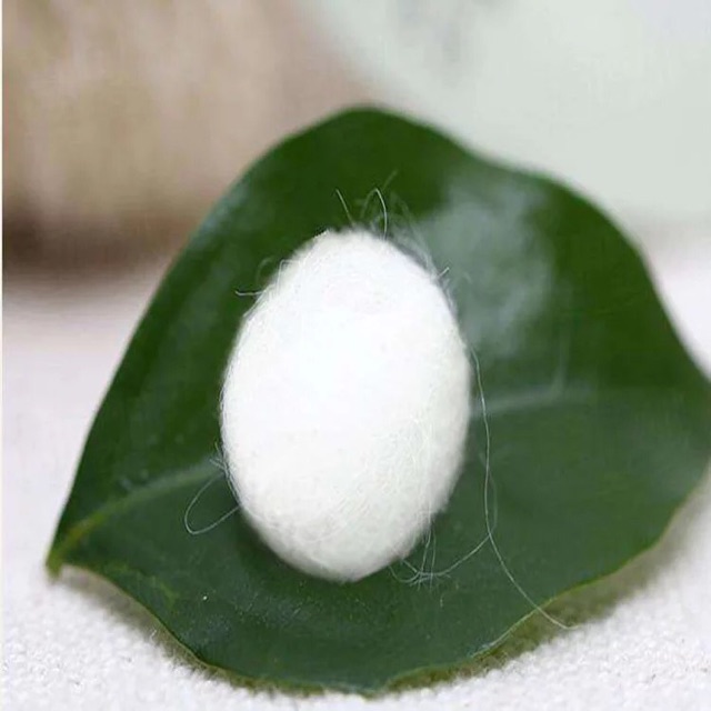 Viên Kén Tằm Căng Bóng Da