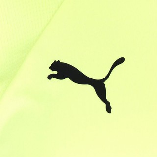 Áo thun thể thao nam Puma Evo Training (màu Yellow/Black)