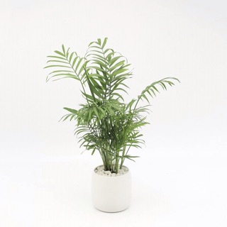 Chậu cây mini sứ Bát Tràng nhiều mẫu