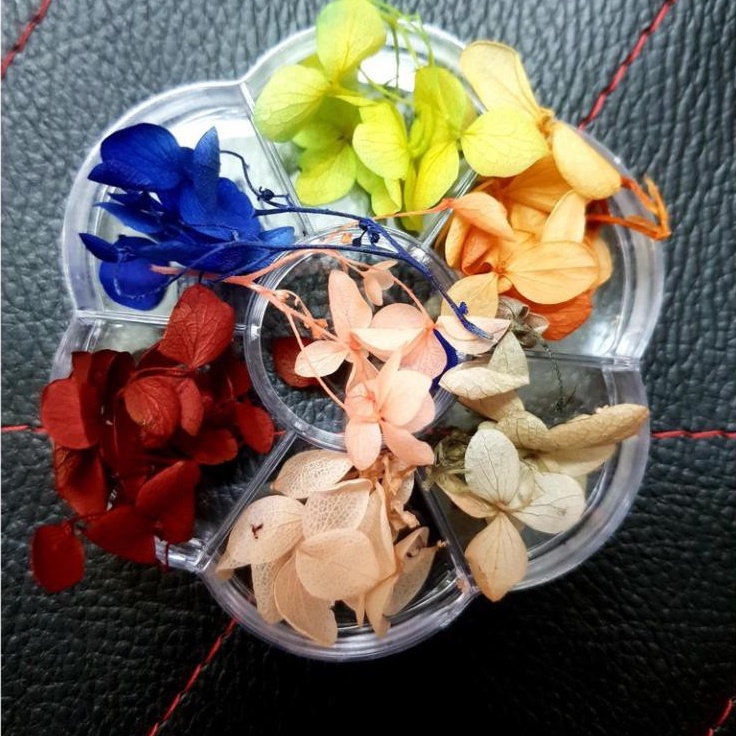 Hoa khô nail trang trí móng cánh to 12 màu