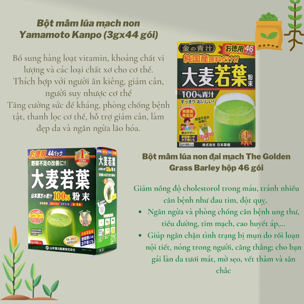 BỘT LÚA NON BỔ SUNG CHẤT XƠ VITAMIN CHO CƠ THỂ GRASS BARLEY