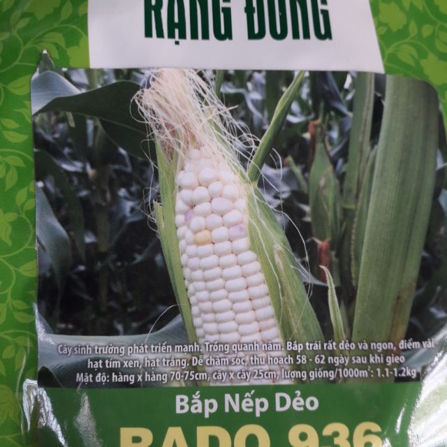 HẠT GIỐNG BẮP NẾP