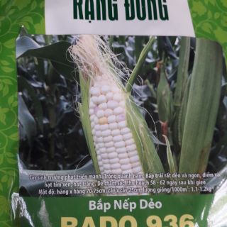 Hạt giống bắp nếp