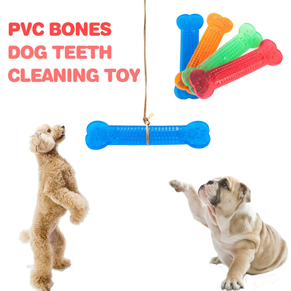 Hipidog dog chew toys đồ chơi xương cao su puppy bàn chải đánh răng phụ kiện cho thú cưng