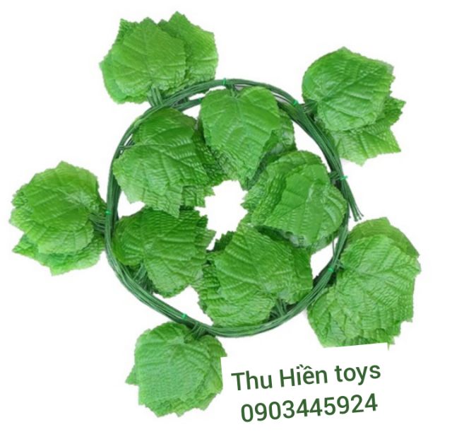 Dây Lá Nho Cuống Xanh Dài 2m