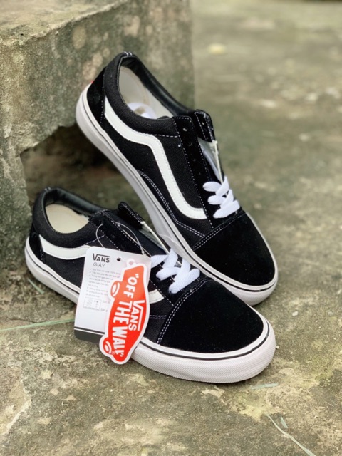 Giày thể thao V Old tuỳ chọn Hoa Cúc, Phản Quang | BigBuy360 - bigbuy360.vn