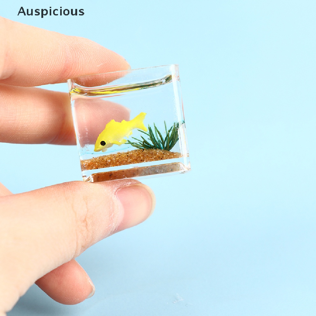Bể Cá Mini Bằng Nhựa Trong Suốt Diy