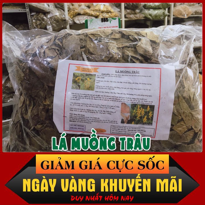 Lá Muồng Trâu Khô 1Kg Loại Đặc Biệt Hàng Cty - Đông Y Thanh Bình