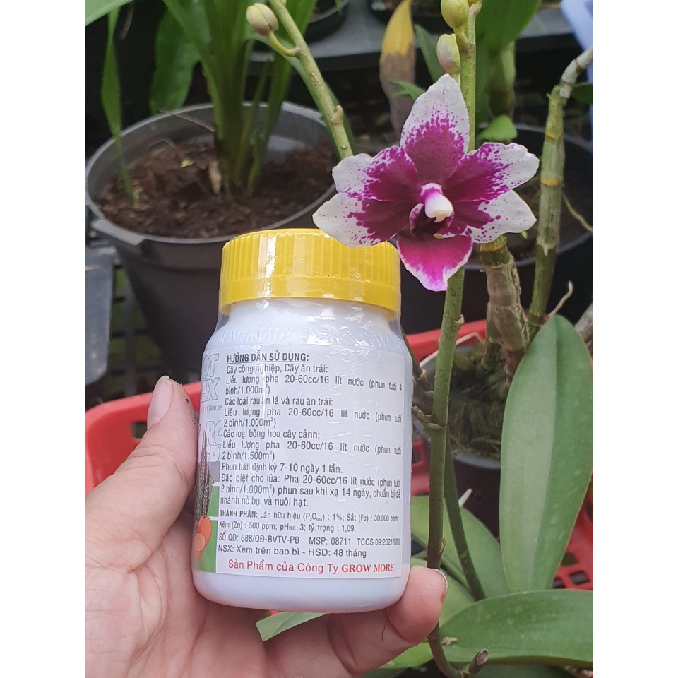 Phân bón lá hữu cơ Root Plex   Chai 100ml -Mai Huy