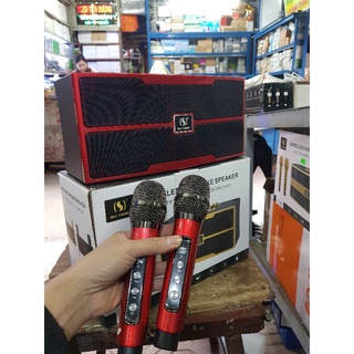 Loa kraoke mini YS-201