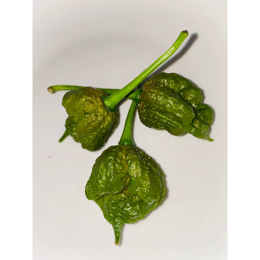 Trái Ớt tươi Big Mustard Mama