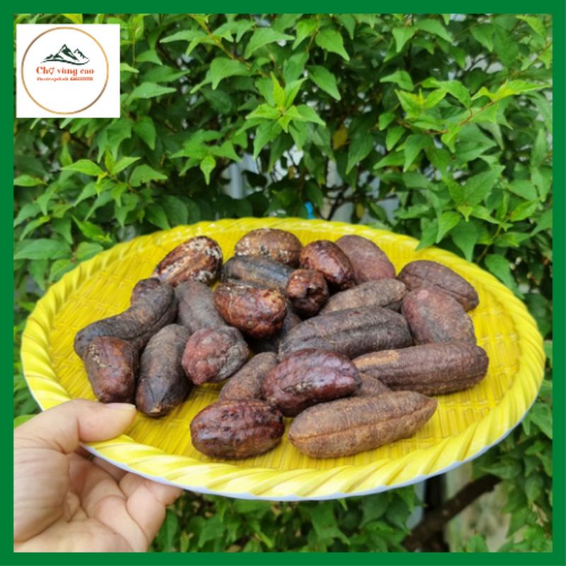 Chuối hột rừng 1kg, dược liêu tây bắc