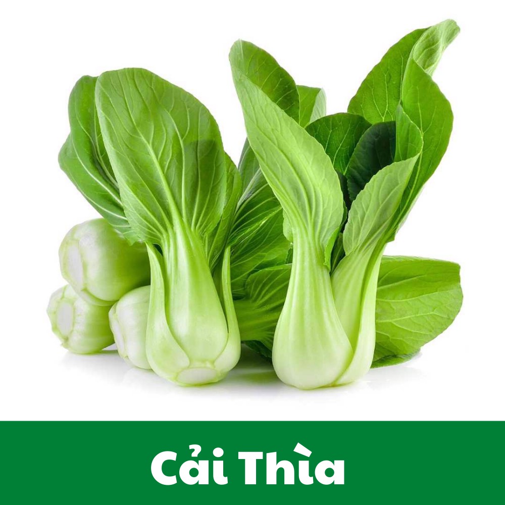[BÌNH ỔN GIÁ] 1KG Cải Thìa Xanh Đà Lạt