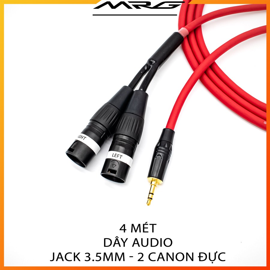 Dây 3.5 Ra 2 Đầu Canon Đực, Dài 5met - MrG