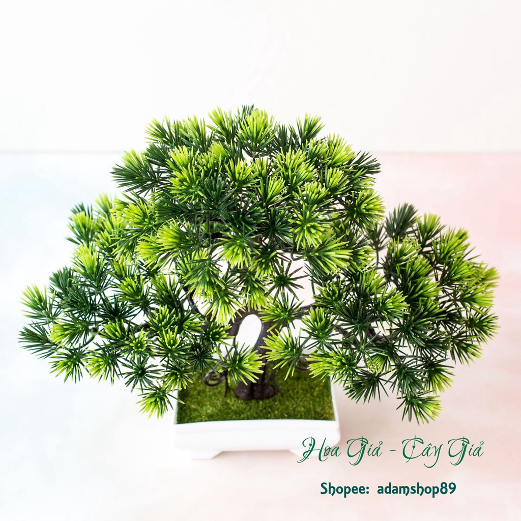 Cây bonsai giả - Cây tùng CT5 may mắn, Trang trí