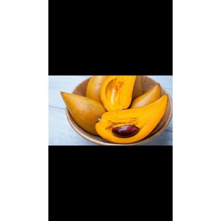 Cây lêkima (quả trứng gà)